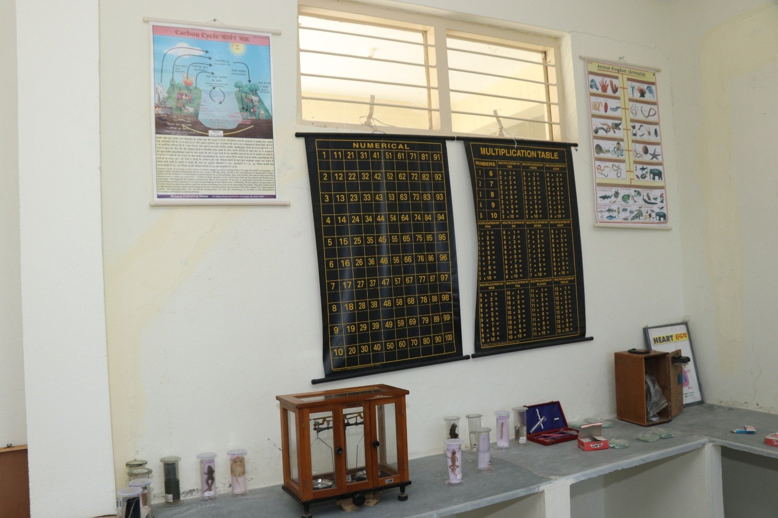 Science Activity Room
